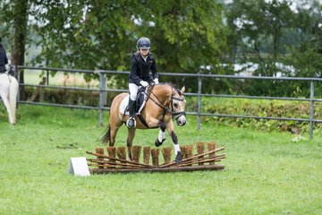 Bild 318 - Pony Akademie Turnier